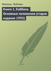 Книга 19. Претворение Идеи (старое издание)