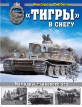 «Тигры» в снегу<br />Мемуары танкового аса