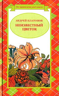 Разноцветная бабочка