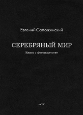 Серебряный мир (СИ)