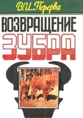 Возвращение зубра