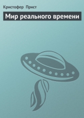 Мир реального времени
