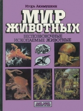 Беспозвоночные. Ископаемые животные